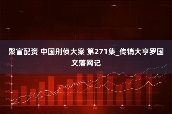 聚富配资 中国刑侦大案 第271集_传销大亨罗国文落网记