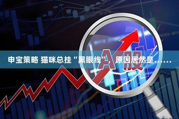 申宝策略 猫咪总挂“黑眼线”，原因居然是……